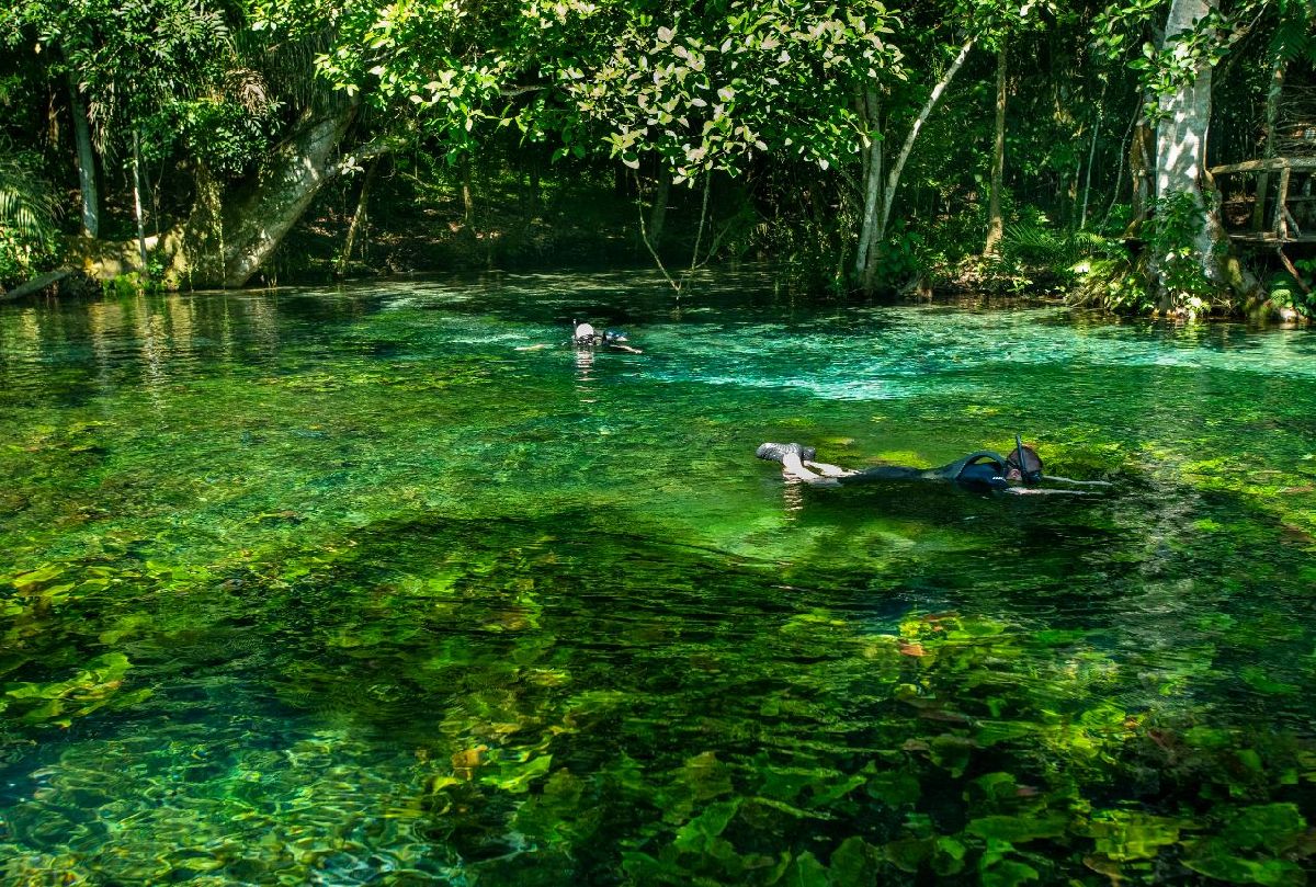 Viagem para Bonito: conheça o melhor lugar para mergulho fluvial