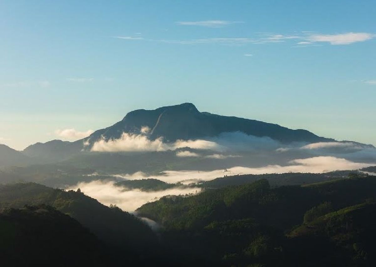 Montanhas Capixabas: turismo e negócios na Feira Espírito Madeira-Design de Origem 2024 em novembro
