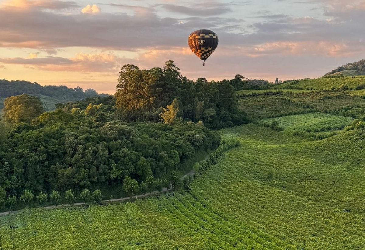 Voo de Balão sobre o Vale dos Vinhedos