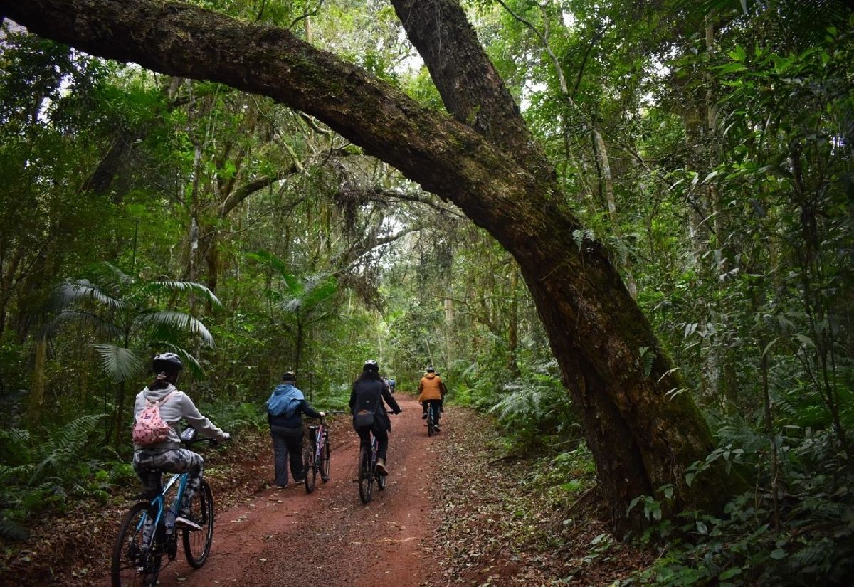 Bike Poço Preto: passeio guiado pela floresta da Mata Atlântica