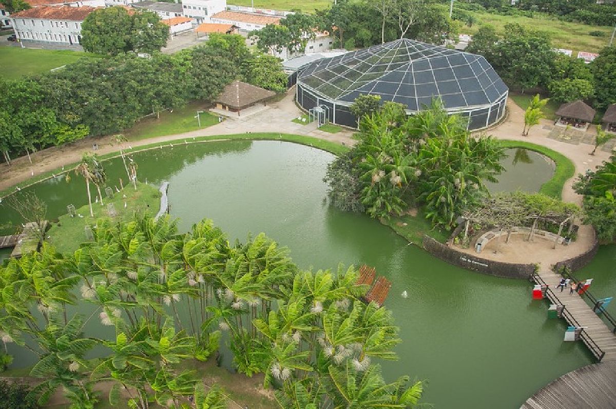 Hotel Vila Rica dá 6 dicas de passeios para conhecer a capital paraense