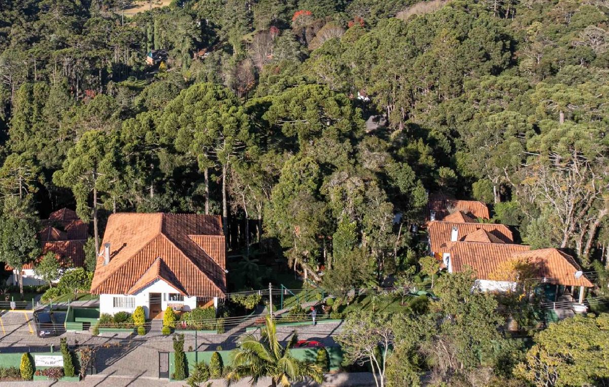 Descubra as belezas de Monte Verde na estação das flores