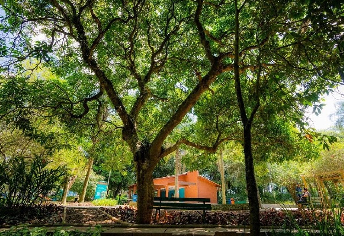 Dia da Amazônia é homenageado com programação gratuita e rica em biodiversidade em parques da cidade de São Paulo