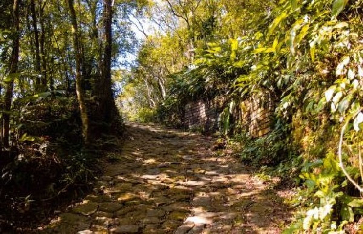 Confira três parques naturais brasileiros para visitar na semana de recesso escolar com descontos de até 30%