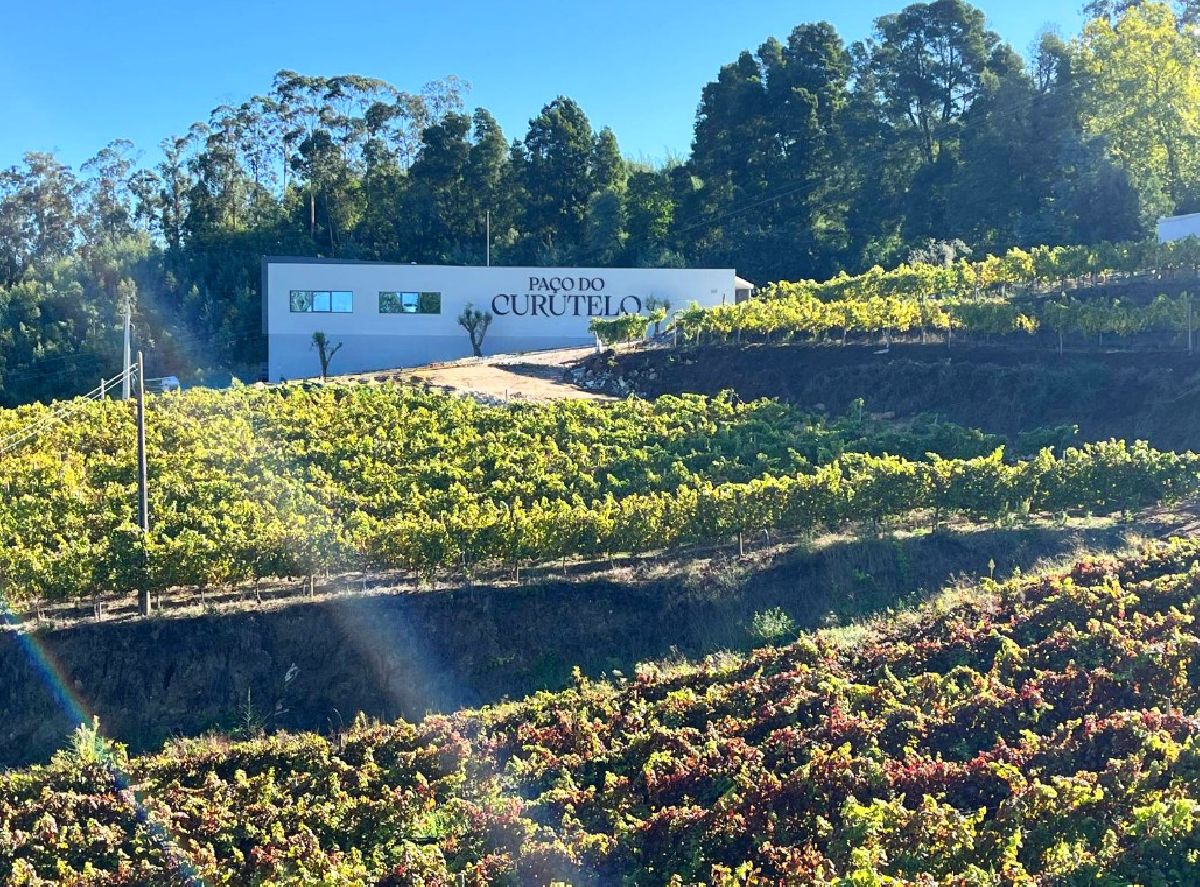 Vila Galé inaugura adega na região dos Vinhos Verdes, em Portugal