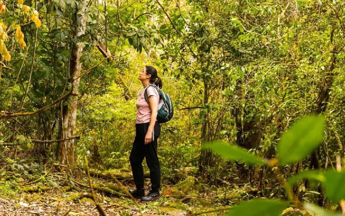 Parque Nacional do Iguaçu lançará trilha às margens do Rio Iguaçu: conheça a Ytepopo