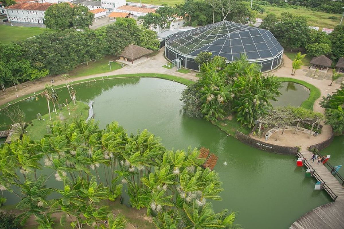 Férias em Belém: cultura, história e natureza em um só lugar