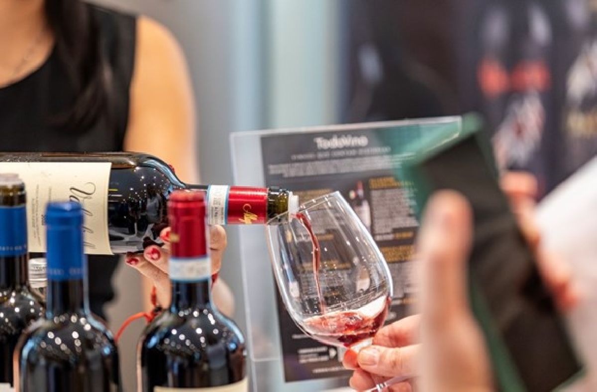 Grand Hyatt São Paulo promove noite especial de degustação com vinhos sustentáveis na segunda edição de 2025 do Wine Club